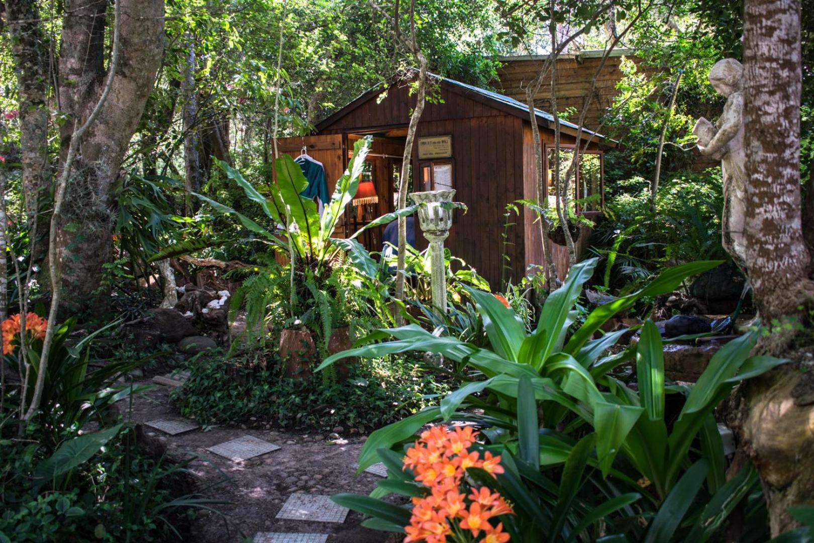 Nature'S Valley Health Retreat A Hide Away In The Forest Exterior foto