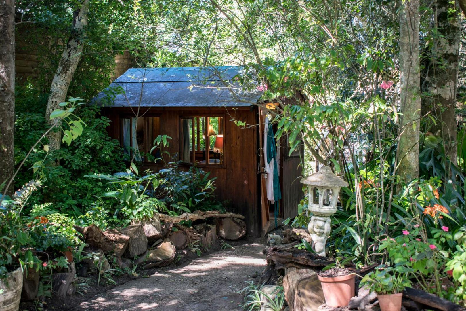 Nature'S Valley Health Retreat A Hide Away In The Forest Exterior foto