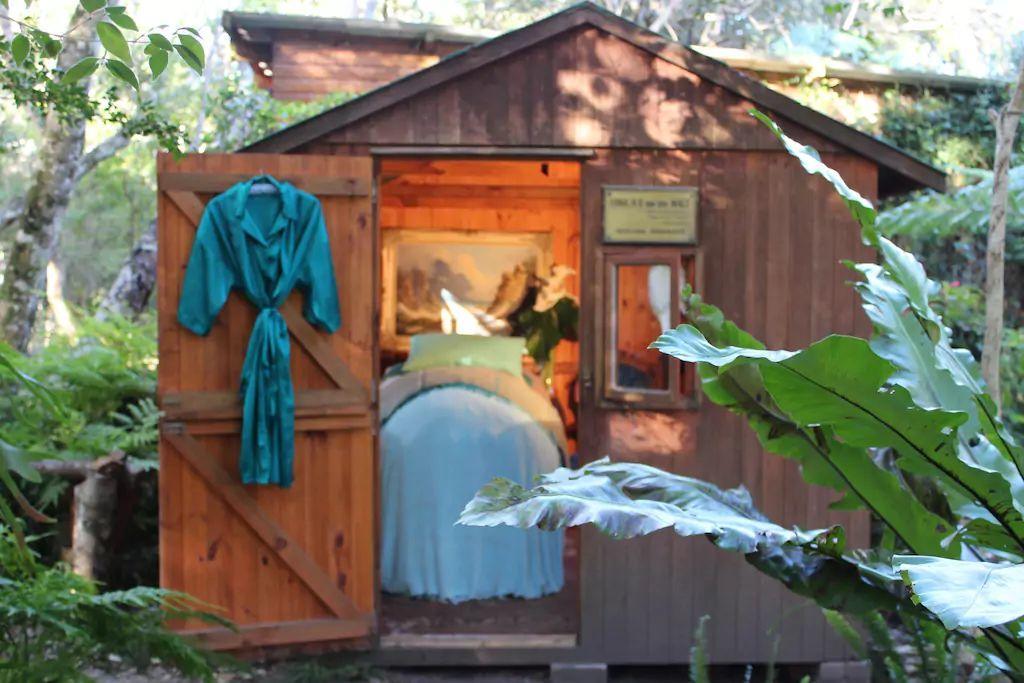 Nature'S Valley Health Retreat A Hide Away In The Forest Exterior foto