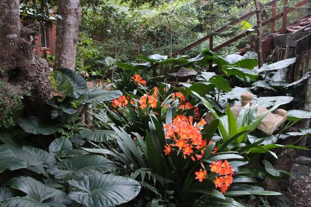Nature'S Valley Health Retreat A Hide Away In The Forest Exterior foto