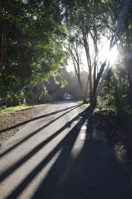 Nature'S Valley Health Retreat A Hide Away In The Forest Exterior foto